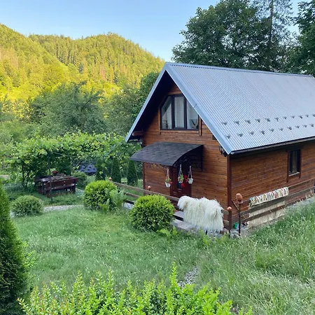 Lisowa Hatka Yavoriv * Yavoruv