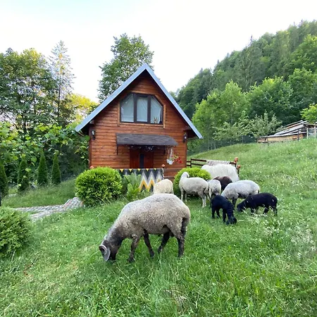 Lisowa Hatka Yavoriv