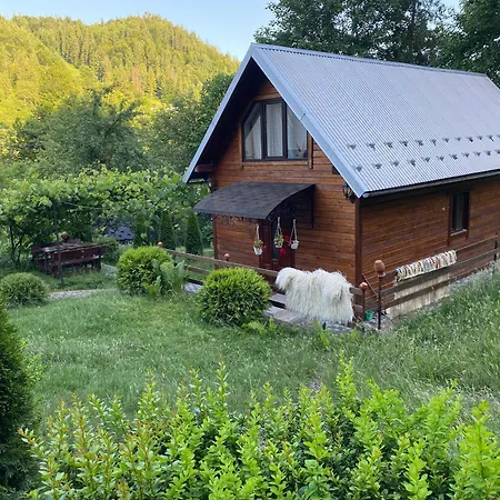 Lisowa Hatka Yavoriv Yavoruv