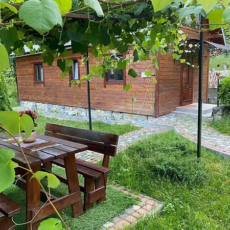 Lisowa Hatka Yavoriv