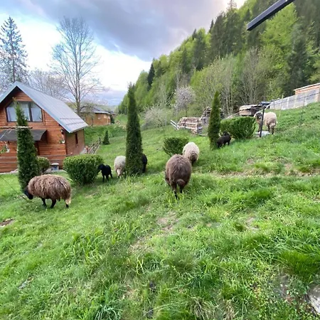 Lisowa Hatka Yavoriv Prázdninový dům